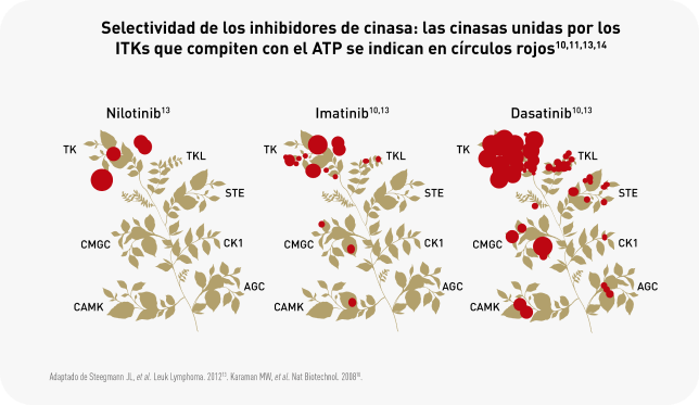 infografía infografía
