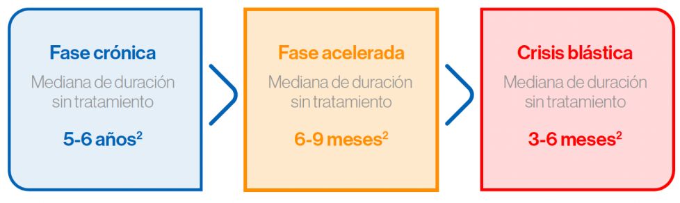 Clínica Clínica