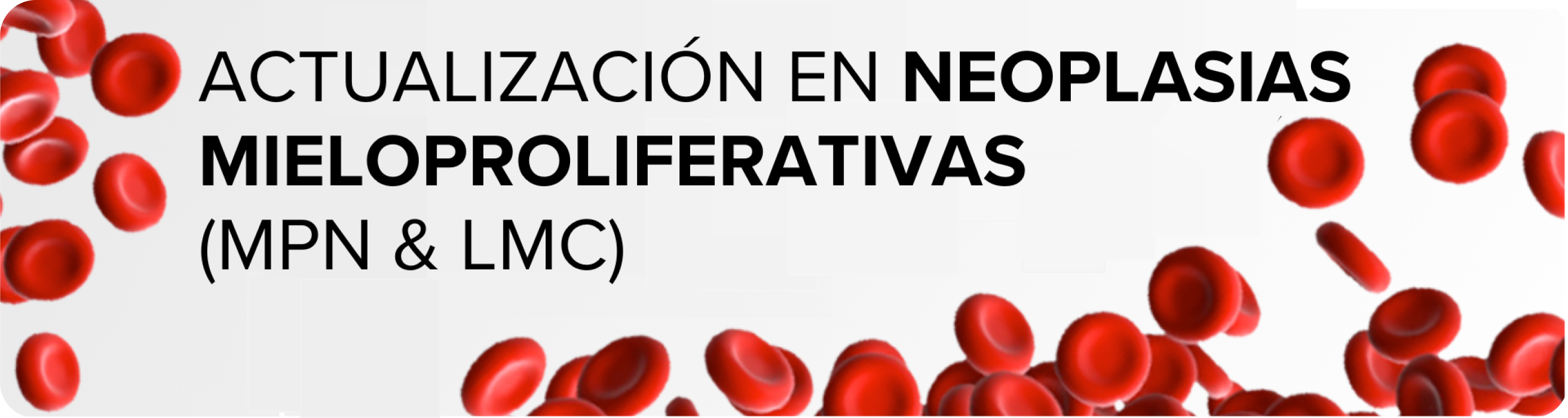 banner banner