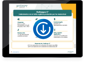 Tarjetón explicativo Hallazgos C