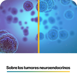 Sobre_los_TNE_mobile Sobre_los_TNE_mobile