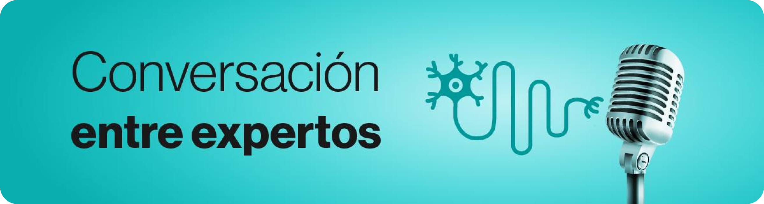 Banner Banner