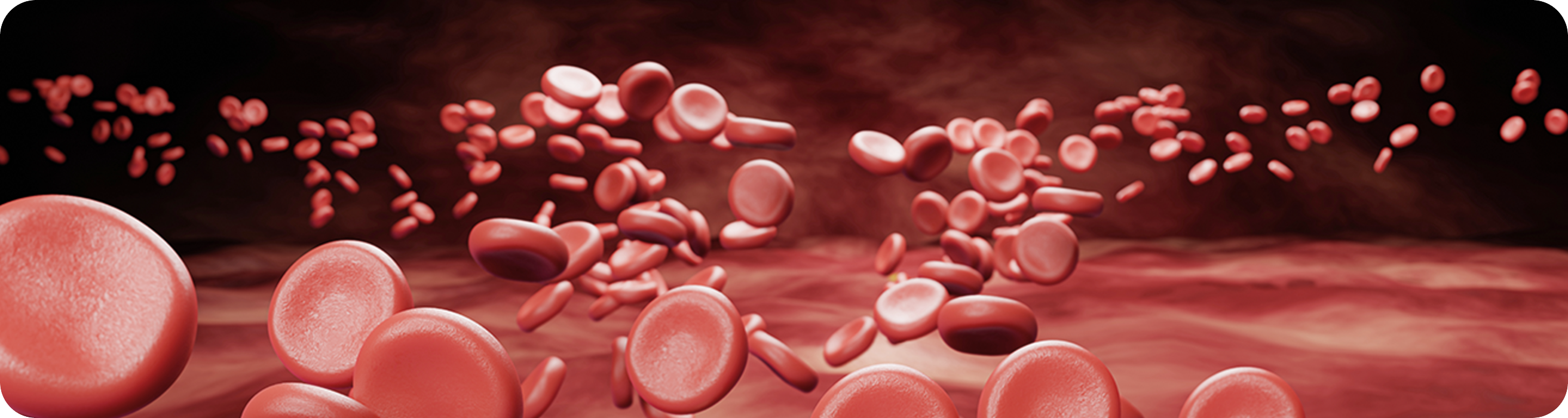 hpn-banner-todo-sobre