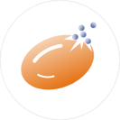 hpn-entendiendo-hemolisis