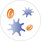 Plaquetas <80.000/µL