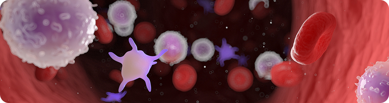 banner banner