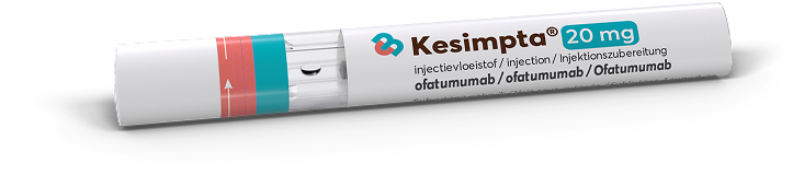 pluma kesimpta pluma kesimpta