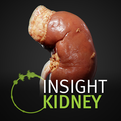 Insight Kidney Insight Kidney