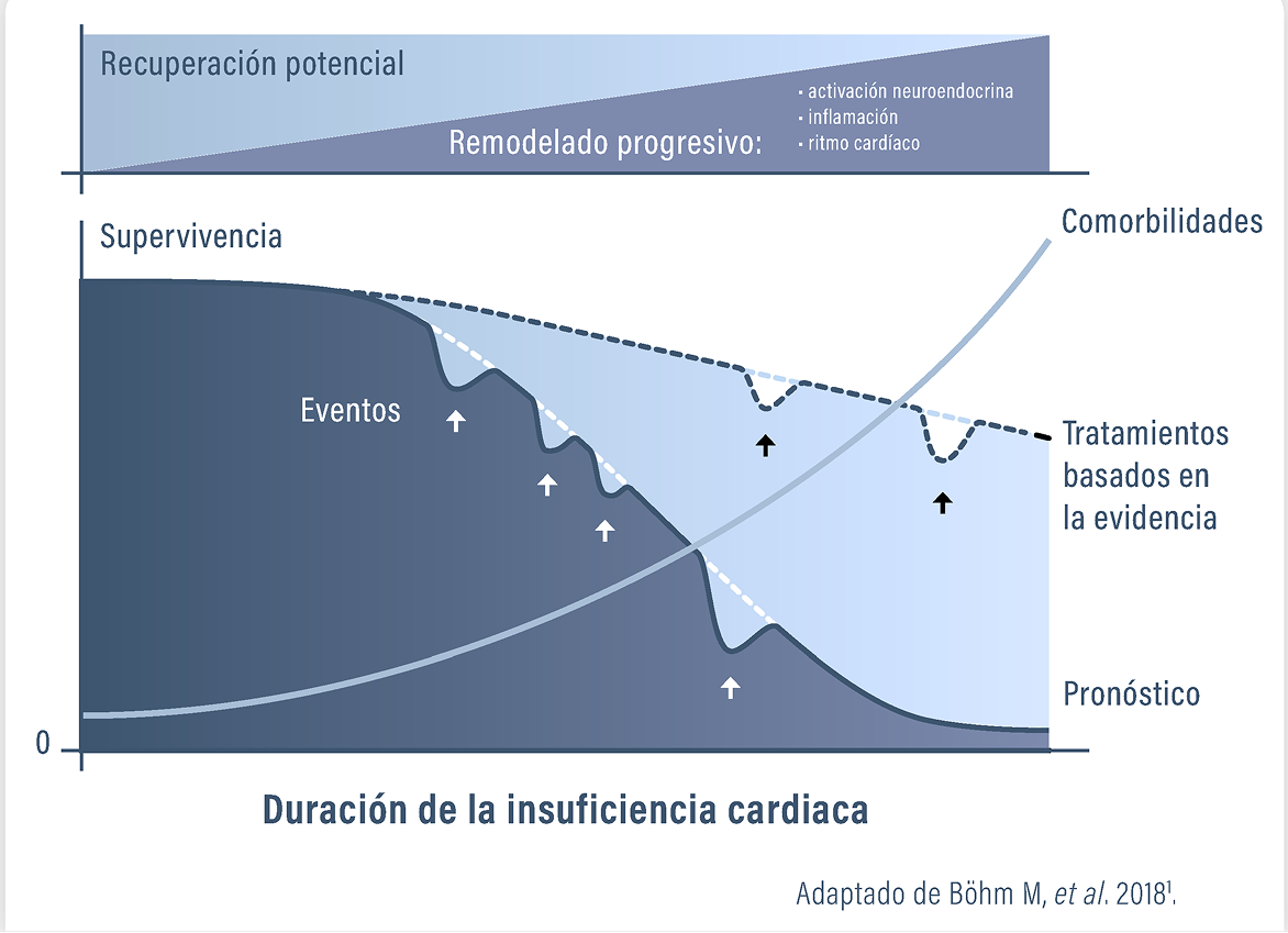 grafica grafica