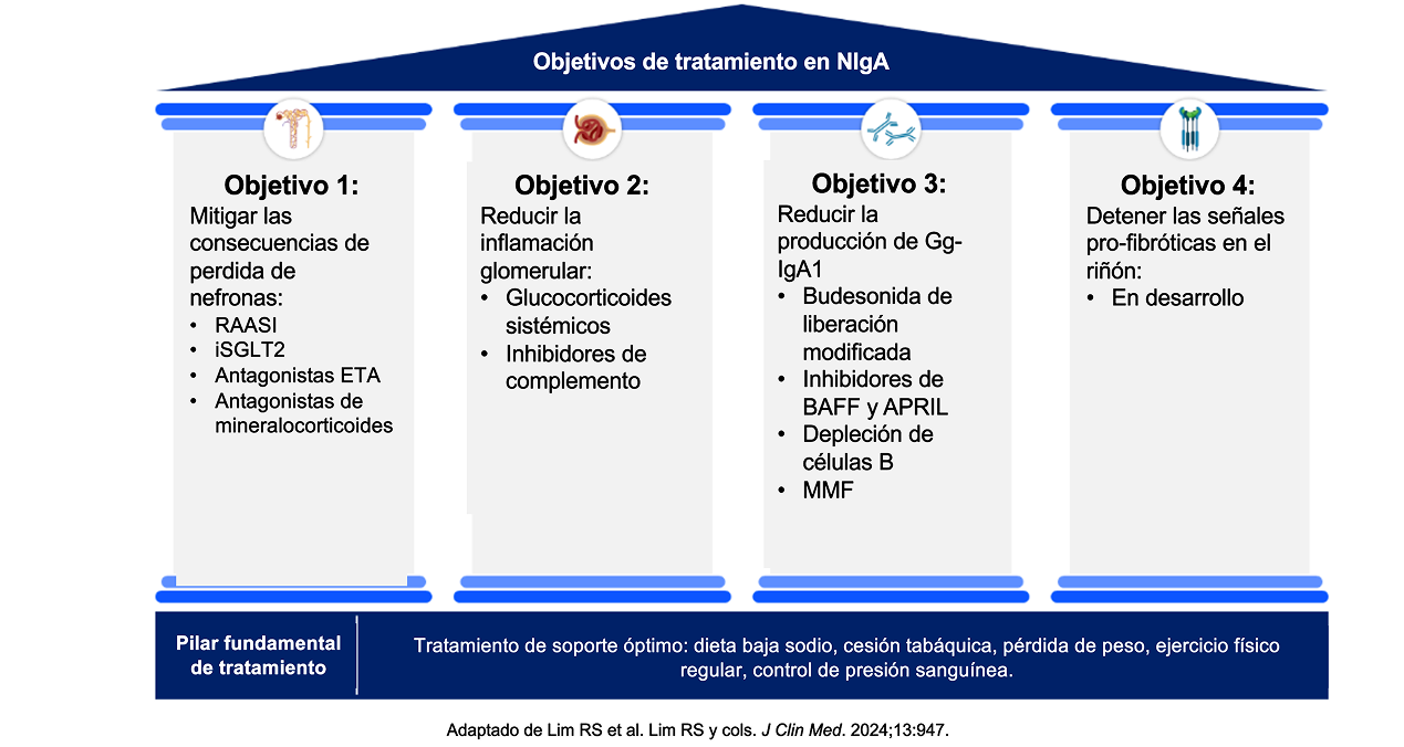 objetivos de tratamiento en NIgA objetivos de tratamiento en NIgA