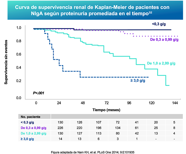 Proteinuria Proteinuria