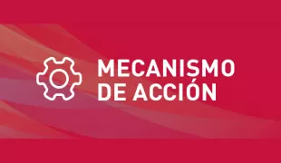 Mecanismo de acción Mecanismo de acción