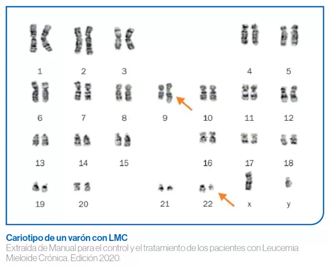Estudios citogenéticos