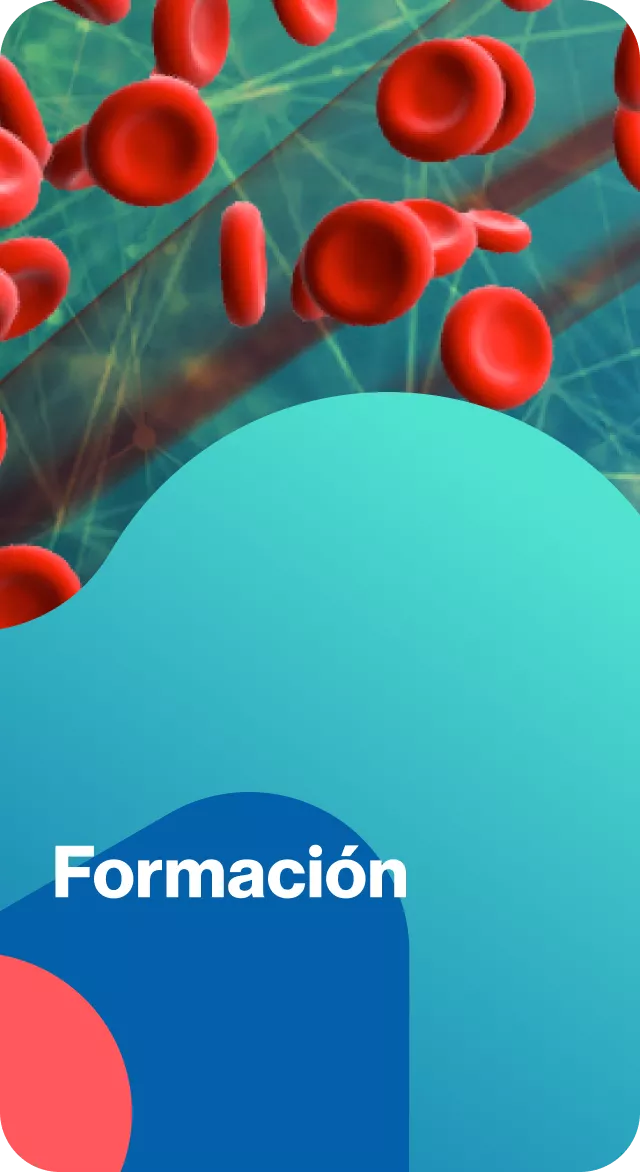 formacion-mobile.png