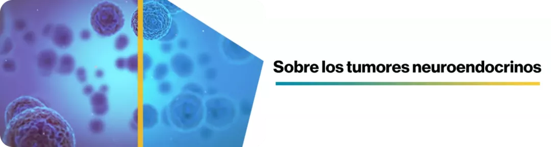 sobre los TNE sobre los TNE