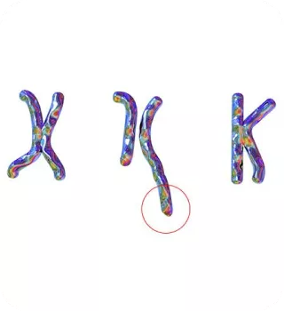 Que-es-la-LMC-mobile