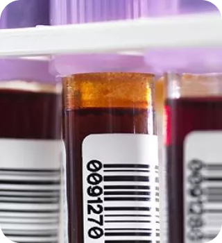 Criterios-de-evaluacion-y-seguimiento-de-la-respuesta-mobile