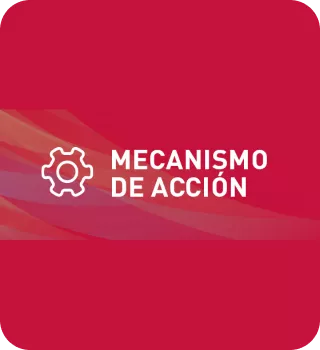 Mecanismo-de-accion-mobile