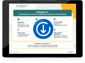 Tarjetón explicativo Hallazgos C