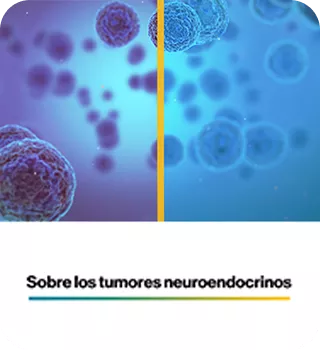 Sobre_los_TNE_mobile