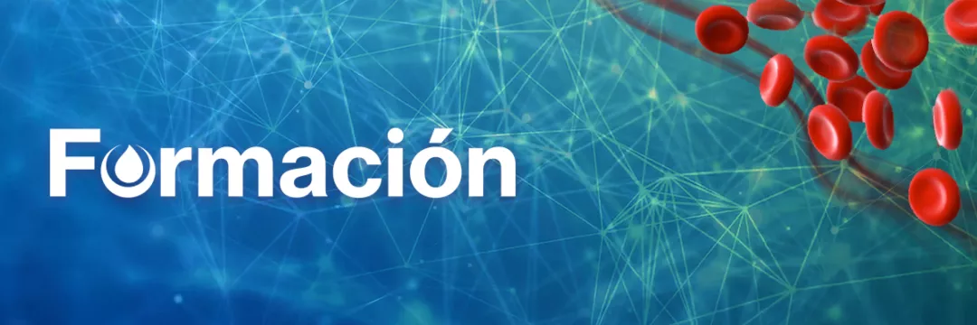 formacion_banner.png