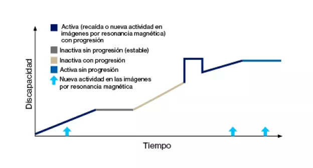 em-patologia-tipos-graph3