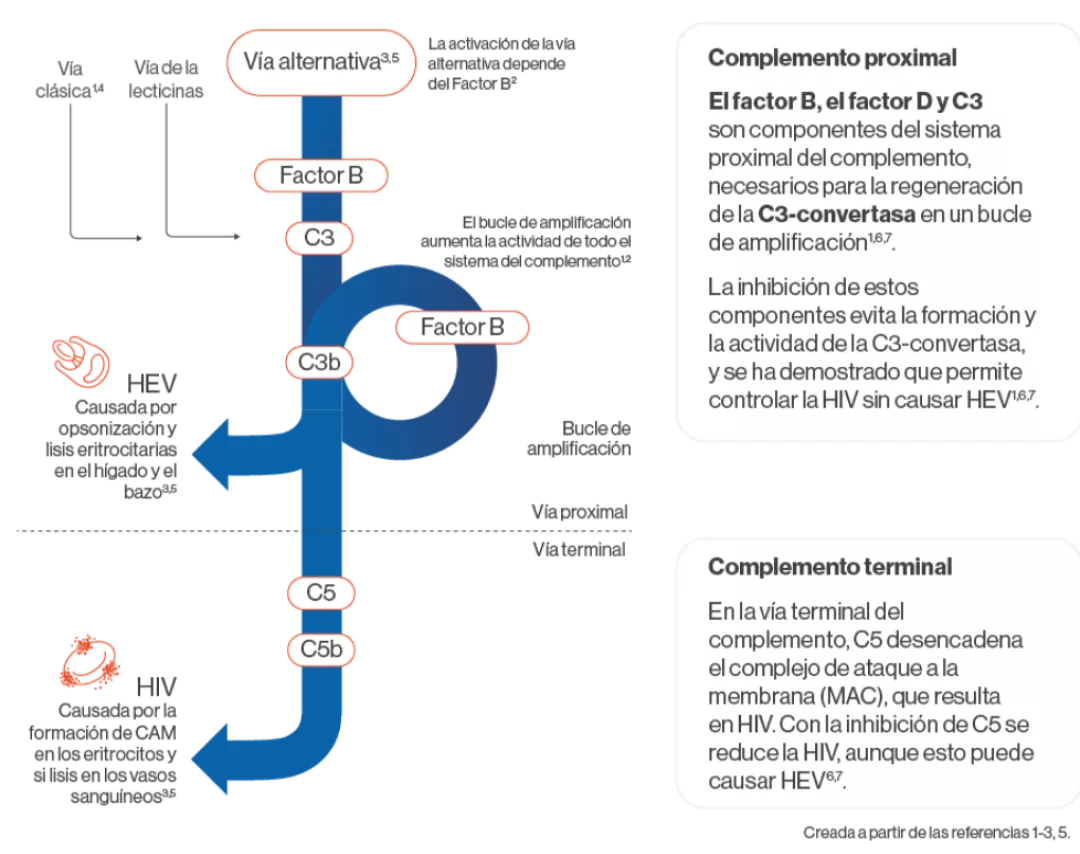hpn-desregulacion
