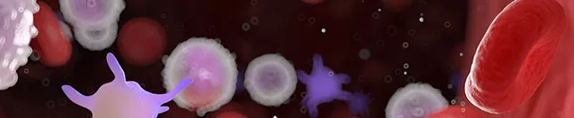 teaser 