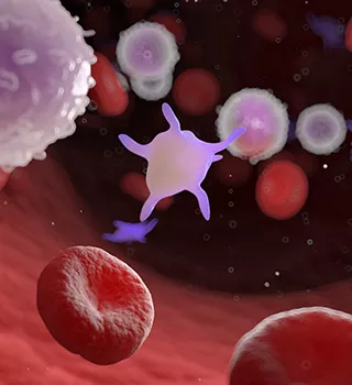 Header_Mobile BG Aplasia