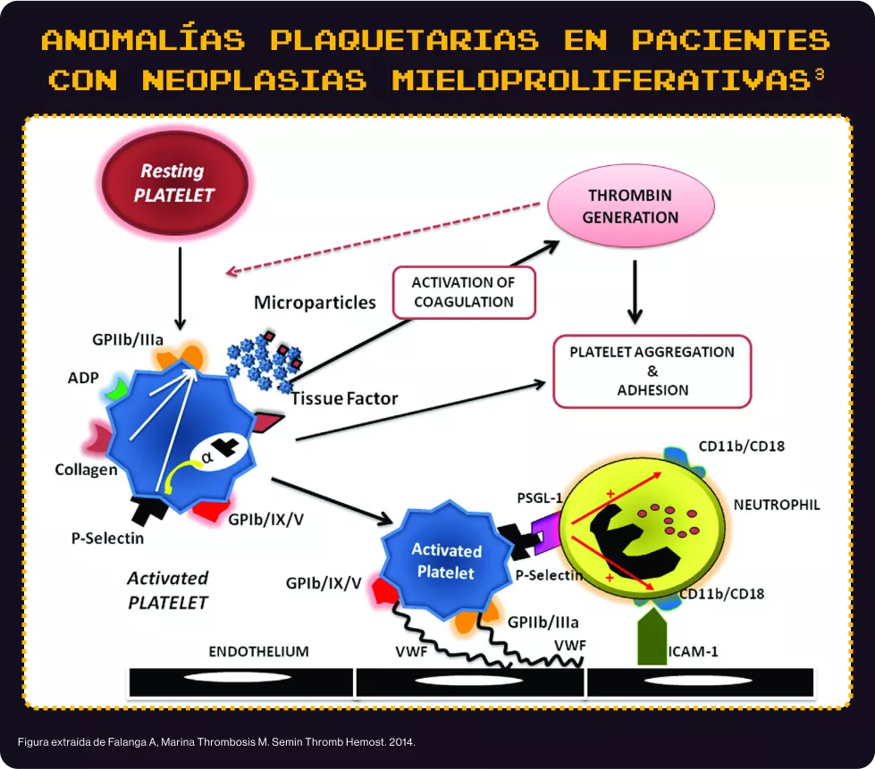 Criterios diagnósticos