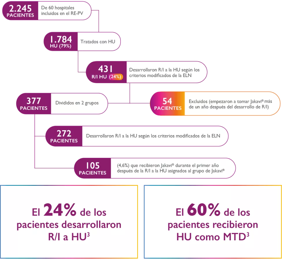  estudio de RWE del registro GEMFIN