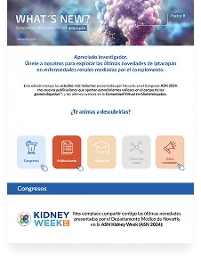 Newsletter de actualidad en Iptacopán (Noviembre 2024)