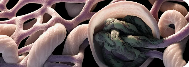 Presentamos el Atlas de Diagnóstico Diferencial de la GC3