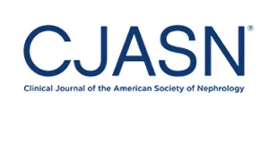 Long-term outcomes of IgA nephropathy presenting with minimal or no proteinuria Long-term outcomes of IgA nephropathy presenting with minimal or no proteinuria