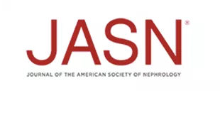 Remission of proteinuria improves prognosis in IgA nephropathy Remission of proteinuria improves prognosis in IgA nephropathy