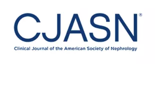 Long-term outcomes in IgA nephropathy Long-term outcomes in IgA nephropathy