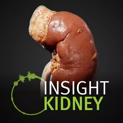 Insight Kidney