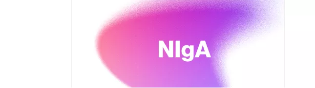 NIgA