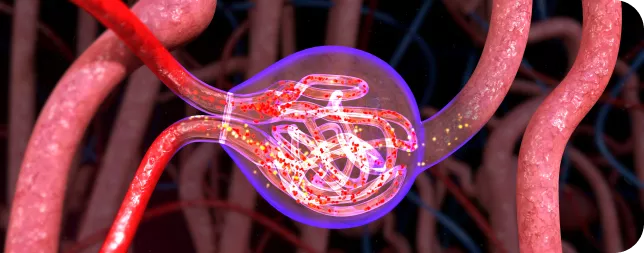 Accede a publicaciones científicas y artículos de interés