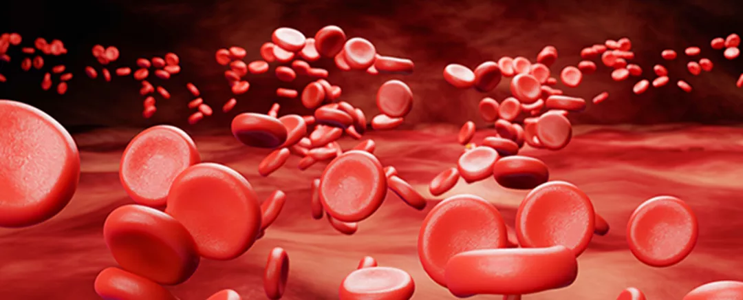 Todo sobre HPN Todo sobre HPN