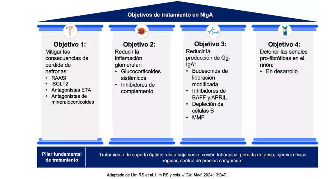 objetivos de tratamiento en NIgA