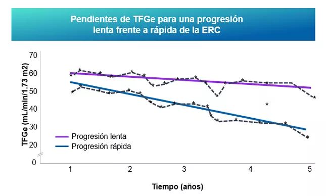 filtrado glomerular (TFGe) 