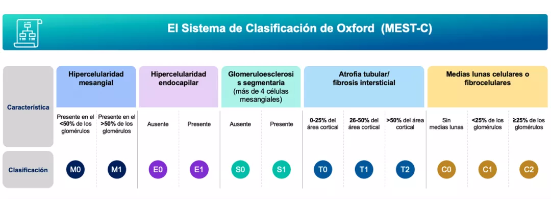  clasificación de Oxford/puntuación MEST-C