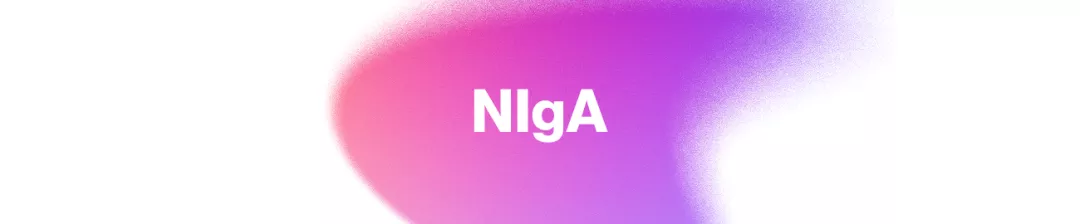 Nefropatía IgA (NIgA)  Nefropatía IgA (NIgA)