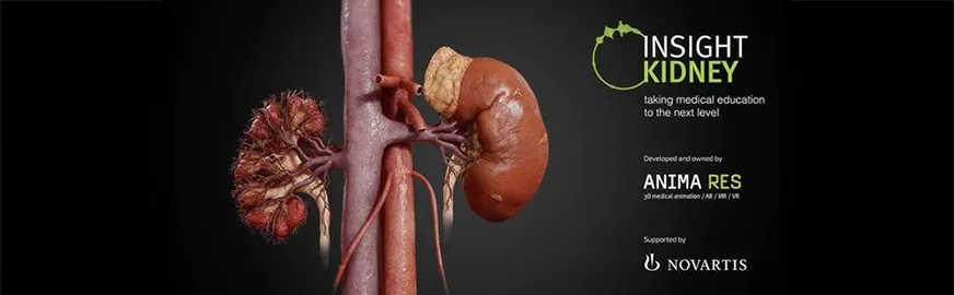 Insight Kidney: Explora los Riñones en 3D Insight Kidney: Explora los Riñones en 3D