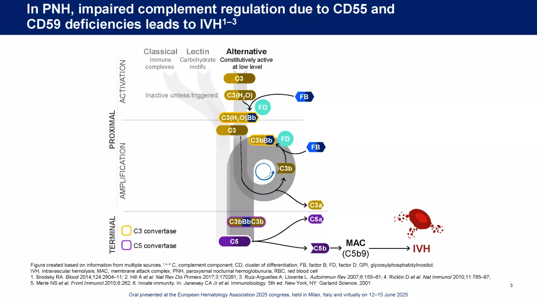 APPULSE_EHA2025_Page_03