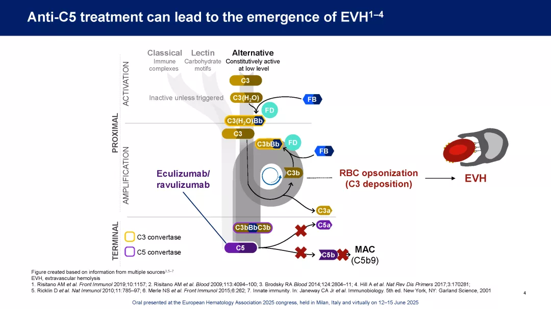 APPULSE_EHA2025_Page_04