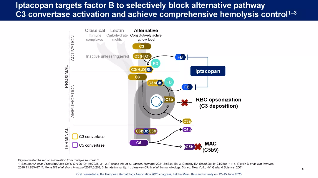 APPULSE_EHA2025_Page_05