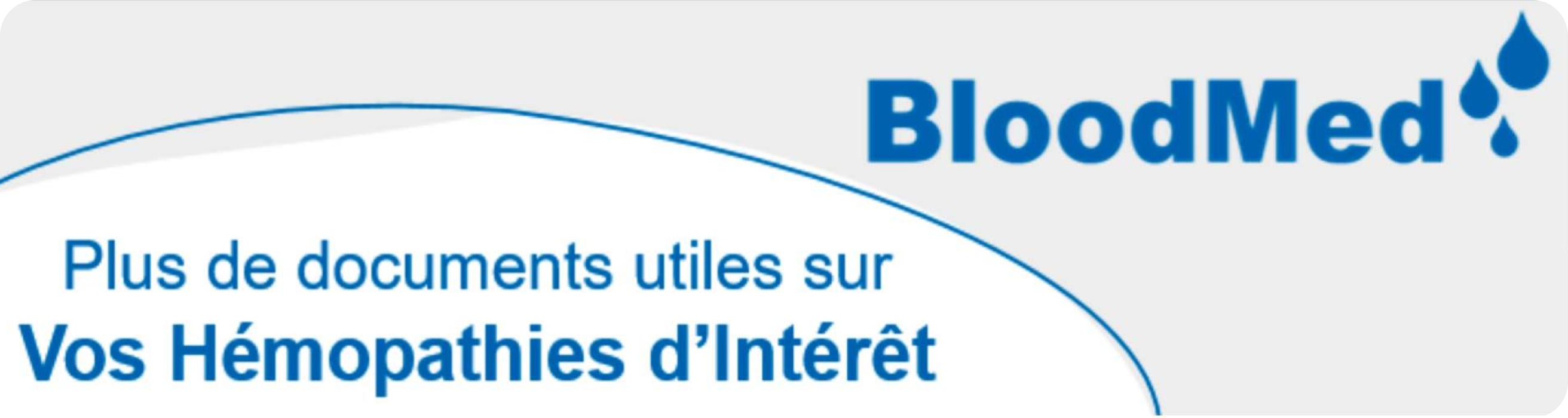 Banner Banner