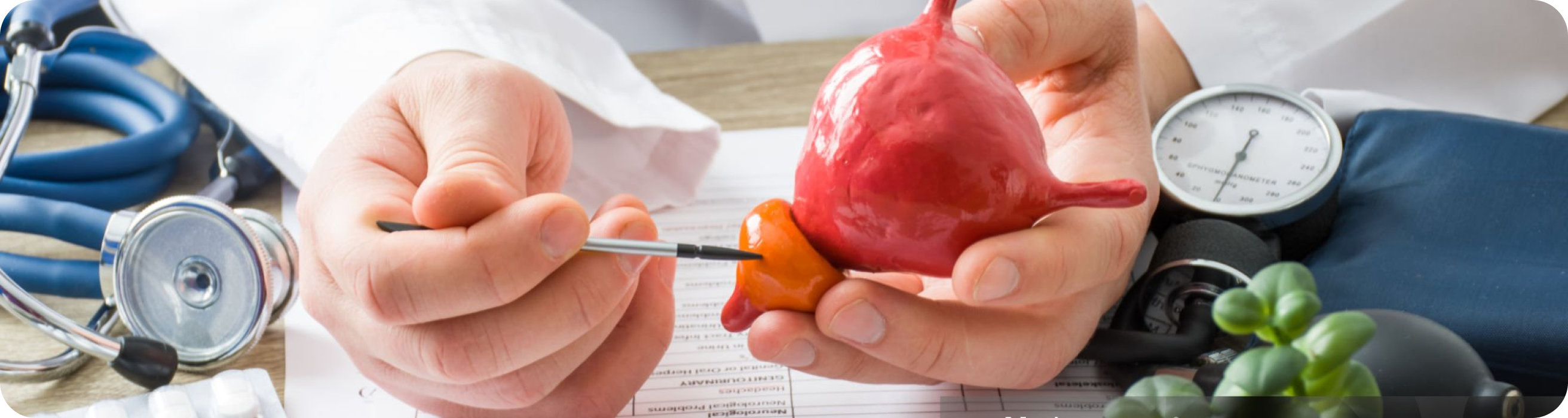 Cancer de la prostate - Docteur Cancer de la prostate - Docteur